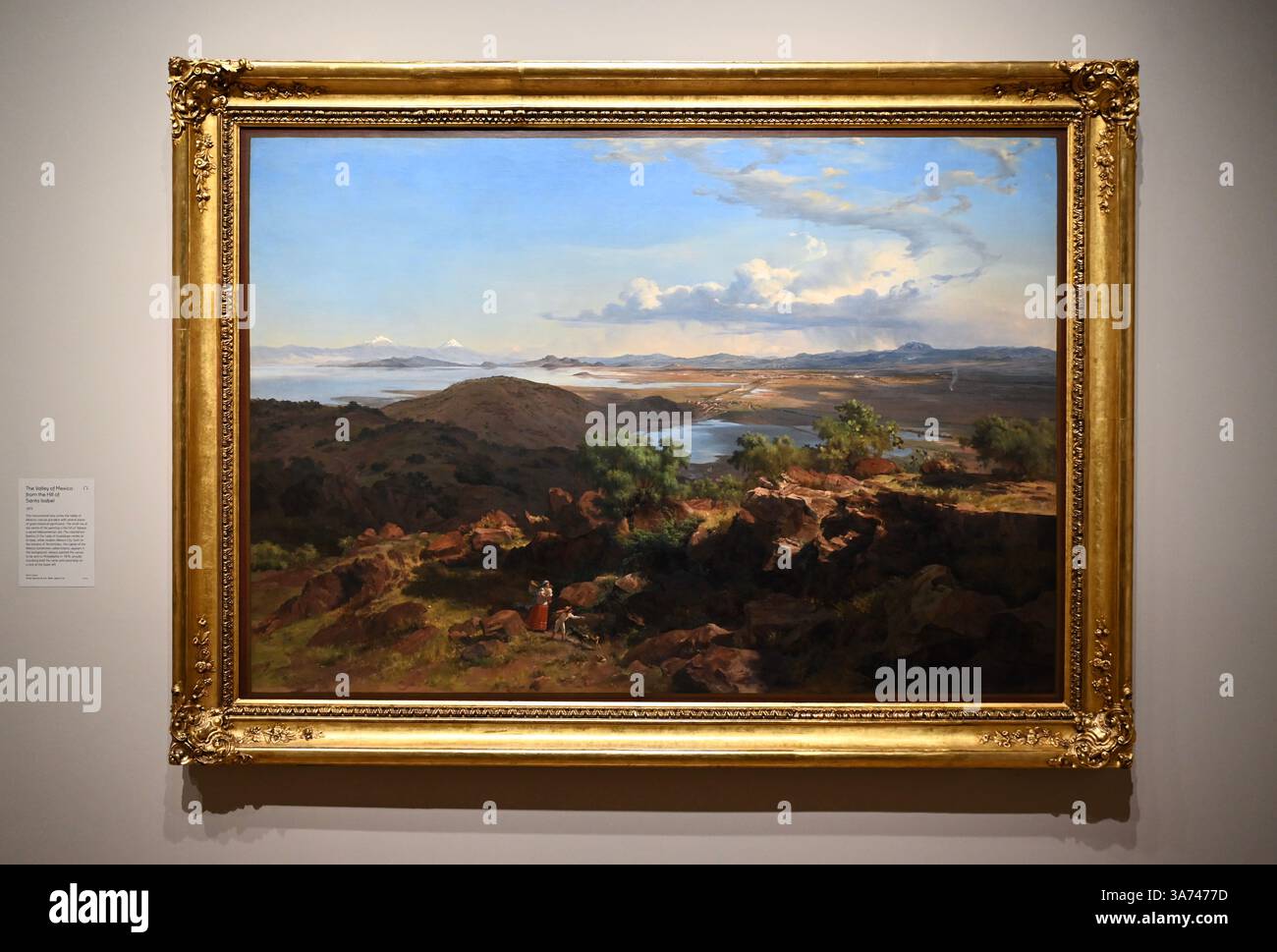 Die erste britische Ausstellung von Mexikos beliebtem Künstler José María Velasco. Velasco, der im 19. Jahrhundert in Mexiko arbeitete, war ein Mann von vielen Interessen. Er war fasziniert von den Fortschritten in der Geologie, der Archäologie seines Heimatlandes, der Erforschung der lokalen Flora und der zunehmenden Industrialisierung. Er malte die weitläufigen Landschaften des Tals von Mexiko, der Heimat des modernen Mexico City, mit exquisiten Details. Sein beeindruckender Panoramablick auf das Tal offenbart Anspielungen auf Mexikos historische Vergangenheit und seine sich schnell modernisierende Gegenwart. Stockfoto