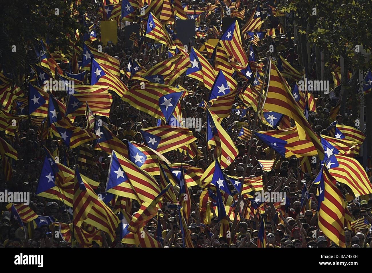 11. September 2014 - Barcelona, SPANIEN - Fotos del AÃ±o 2014. Nein USAR, ediciÃ³n Domingo FotÃ³grafo: CEET CrÃ: archivo El Tiempo (Kreditbild: © El Tiempo/GDA/ZUMA Wire) Stockfoto