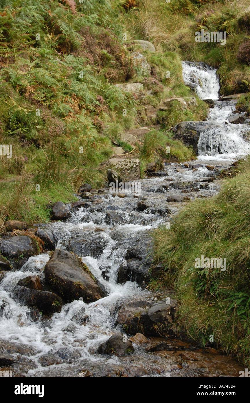 Ein felsiger Gebirgsbach im Peak District National Park in Derbyshire Stockfoto