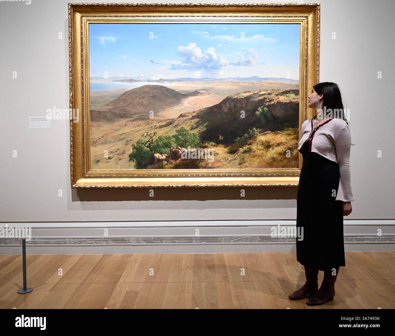 Die erste britische Ausstellung von Mexikos beliebtem Künstler José María Velasco. Velasco, der im 19. Jahrhundert in Mexiko arbeitete, war ein Mann von vielen Interessen. Er war fasziniert von den Fortschritten in der Geologie, der Archäologie seines Heimatlandes, der Erforschung der lokalen Flora und der zunehmenden Industrialisierung. Er malte die weitläufigen Landschaften des Tals von Mexiko, der Heimat des modernen Mexico City, mit exquisiten Details. Sein beeindruckender Panoramablick auf das Tal offenbart Anspielungen auf Mexikos historische Vergangenheit und seine sich schnell modernisierende Gegenwart. Stockfoto