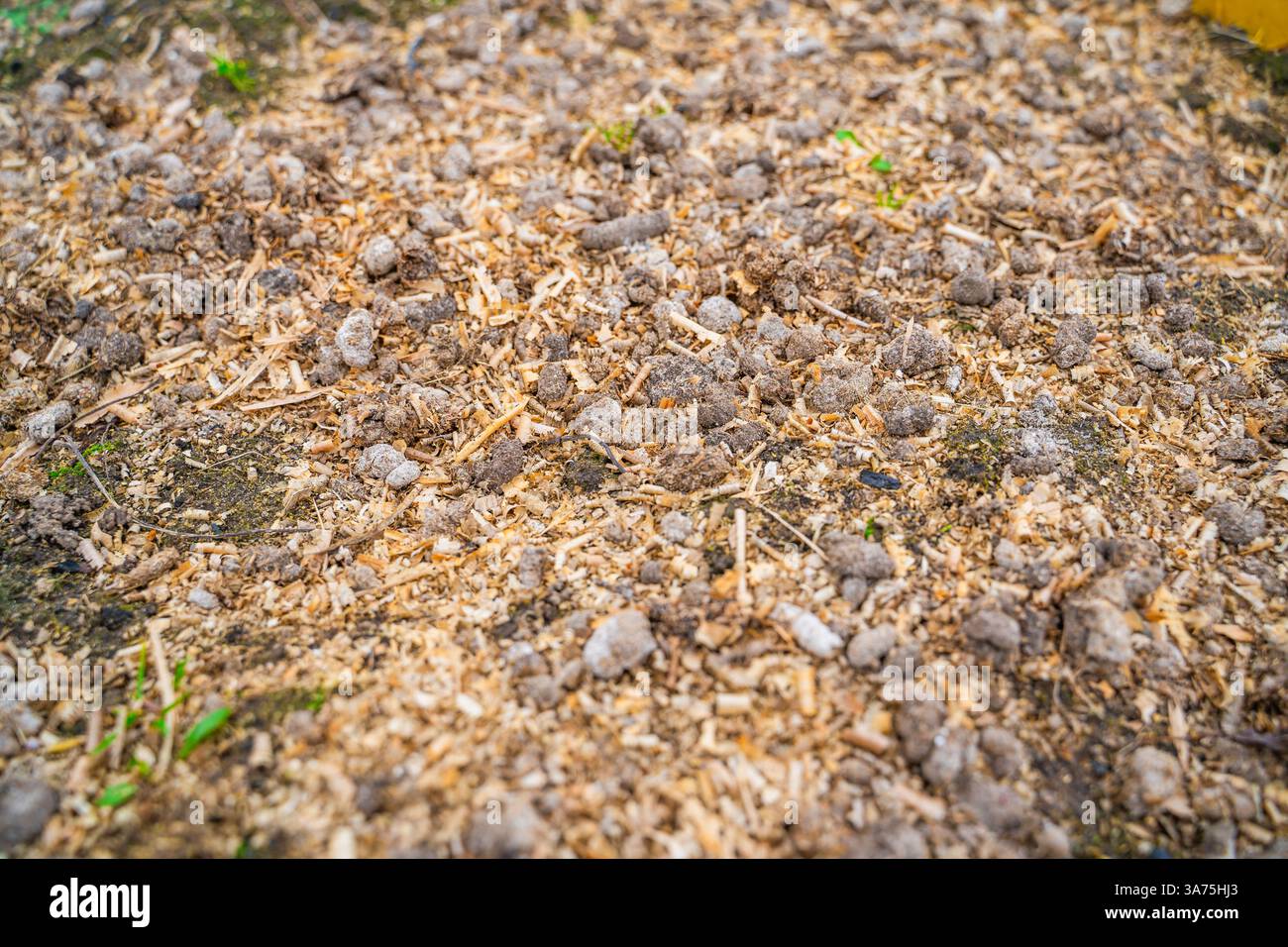 Bird droppings -Fotos und -Bildmaterial in hoher Auflsung - Seite 3 - Alamy