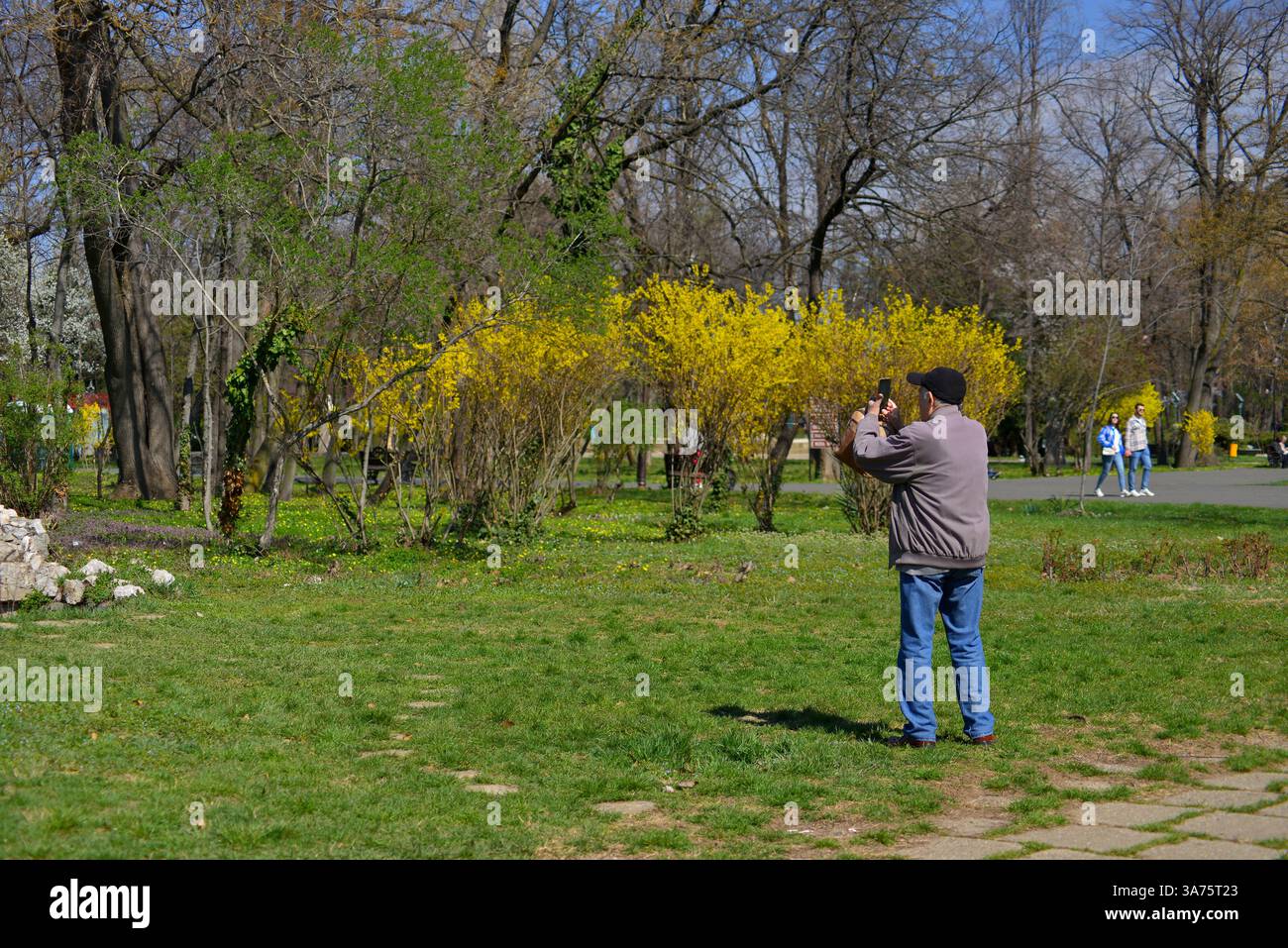 Älterer Mann, der Fotos von der Frühlingslandschaft im Herastrau Park Bukarest macht Stockfoto