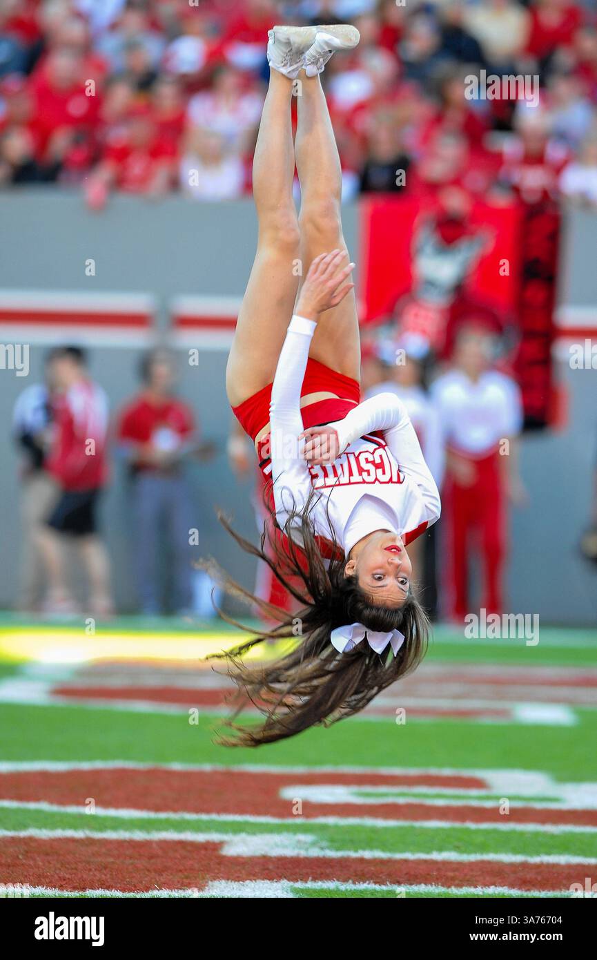 10. November 2012: Raleigh, North Carolina, USA: North Carolina State Wolfpack Cheerleader während des heutigen Spiels. NC State besiegt Wake Forest 37-6 im Carter-Finley Stadium in Raleigh, North Carolina. (Bild: © Anthony Barham/ZUMAPRESS.com) Stockfoto
