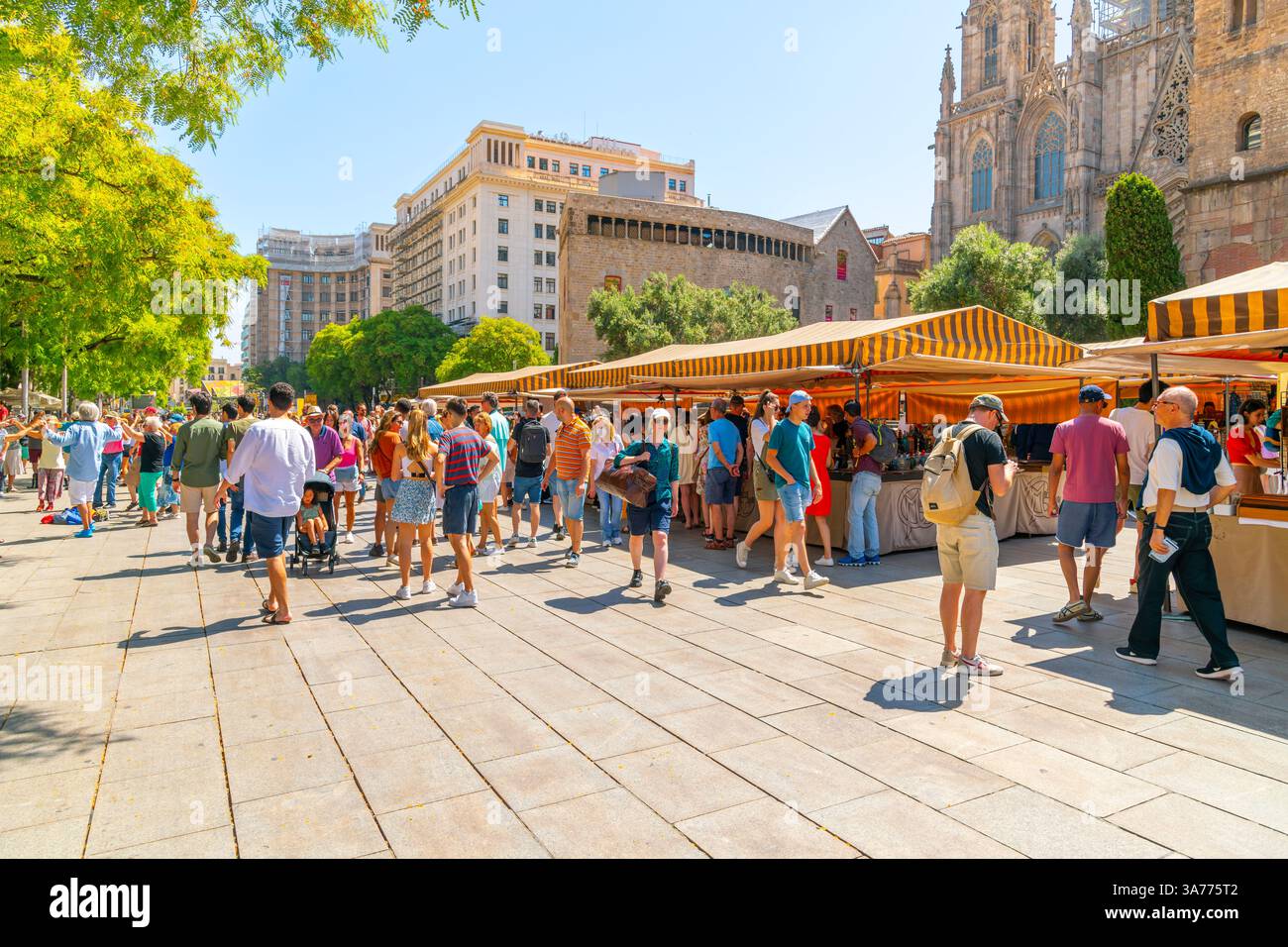 Die Placita de la Seu oder der Kathedralenplatz Fira de Santa Llúcia gotische Markt vor der gotischen Kathedrale von Barcelona an einem sonnigen Markttag. Stockfoto