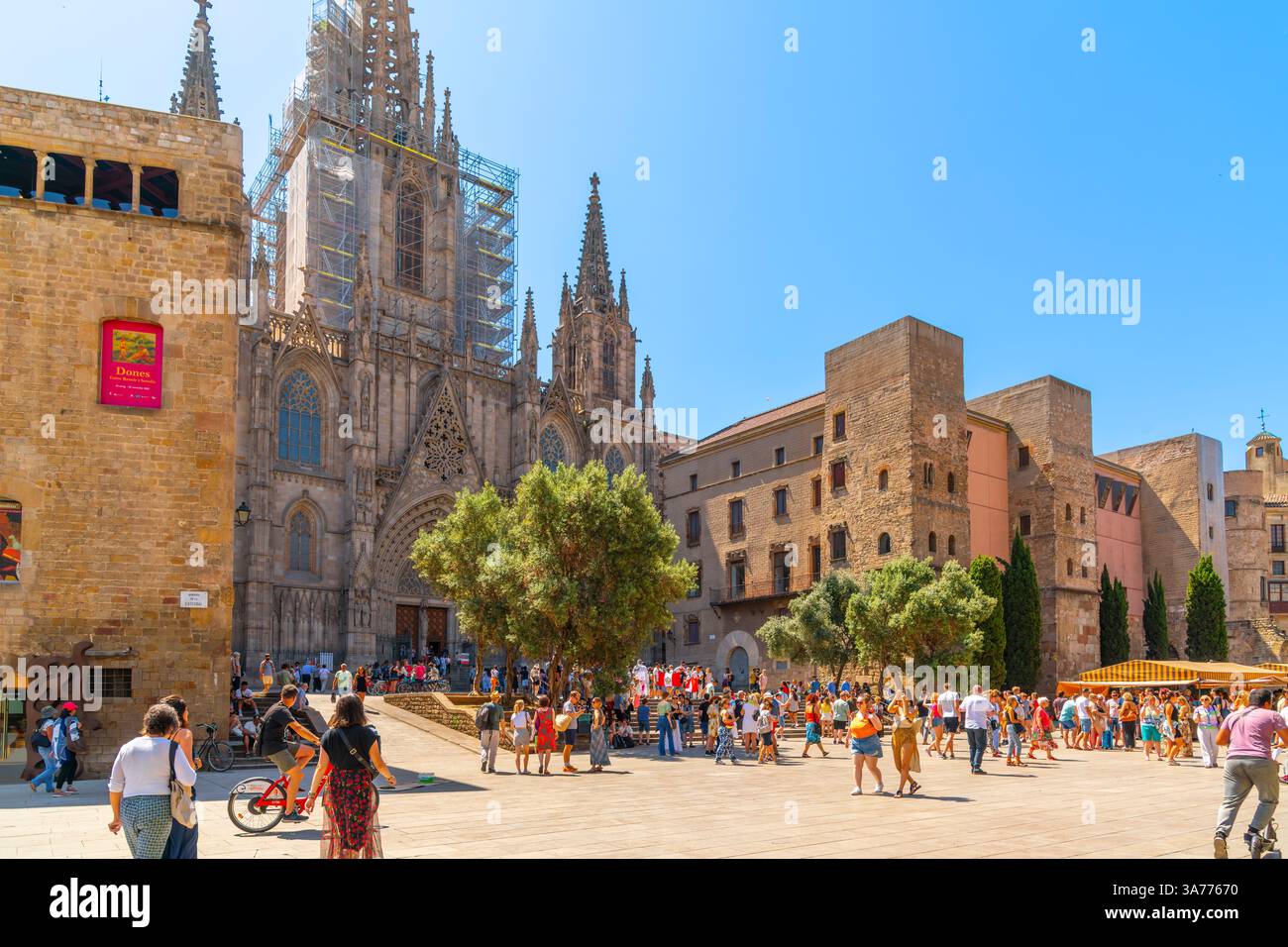 Die Placita de la Seu oder der Kathedralenplatz Fira de Santa Llúcia gotische Markt vor der gotischen Kathedrale von Barcelona an einem sonnigen Markttag. Stockfoto