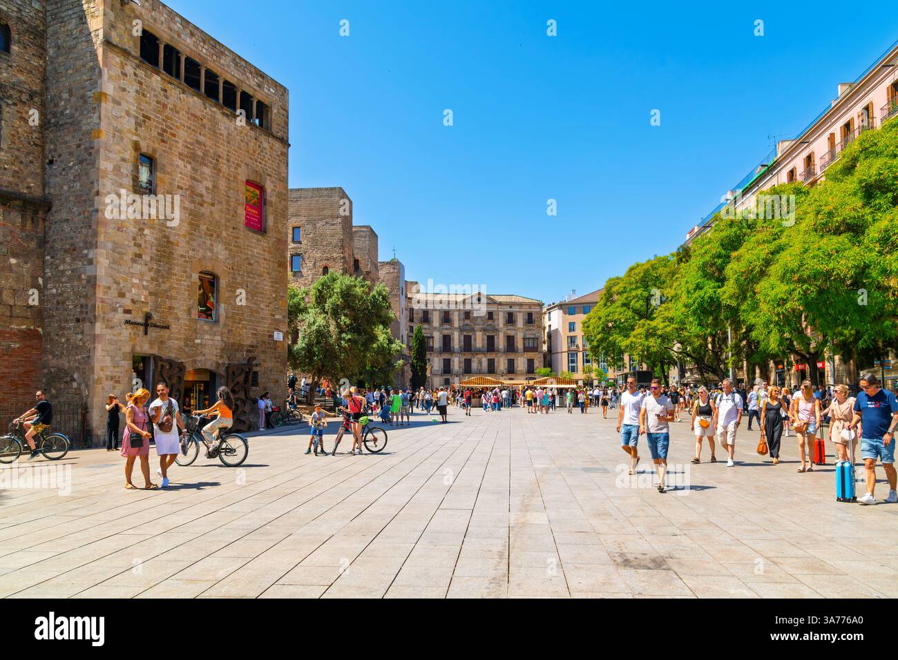 Die Placita de la Seu oder der Kathedralenplatz Fira de Santa Llúcia gotische Markt vor der gotischen Kathedrale von Barcelona an einem sonnigen Markttag. Stockfoto