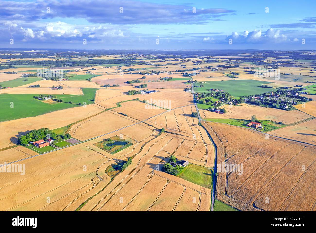 Aus der Vogelperspektive über landwirtschaftliche Weizenfelder, Wiesen, Ackerland und Bauernhöfe in Skåne län / Scania County, südlichste Provinz Schwedens, Skandinavien Stockfoto