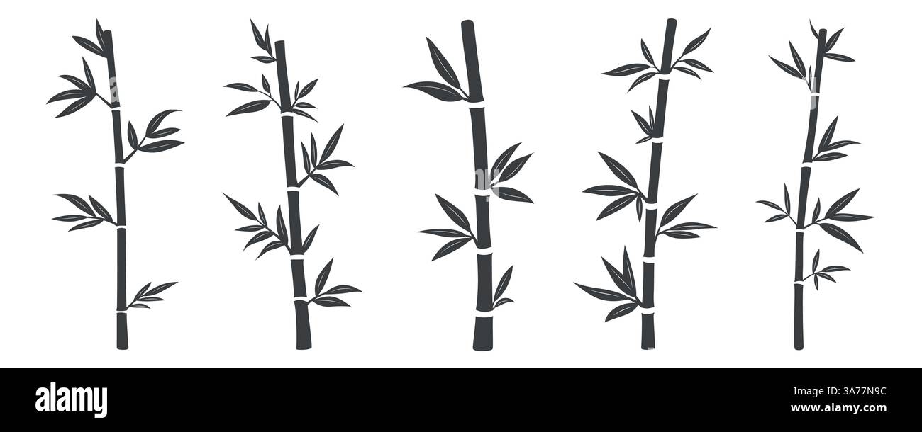 Vektor Silhouette Bambusstiele mit Blättern gesetzt. Asiatische Tropische Bambuspflanze Vektor-Illustration. Dschungel Natur Dekorative Elemente für Öko-Design Stock Vektor