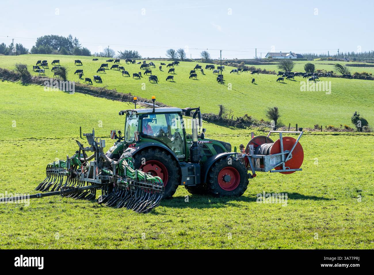 Der Landwirt verteilt Gülle mit einem Nabelpumpensystem und einem Dribble Bar. Drinagh, West Cork, Irland. Stockfoto