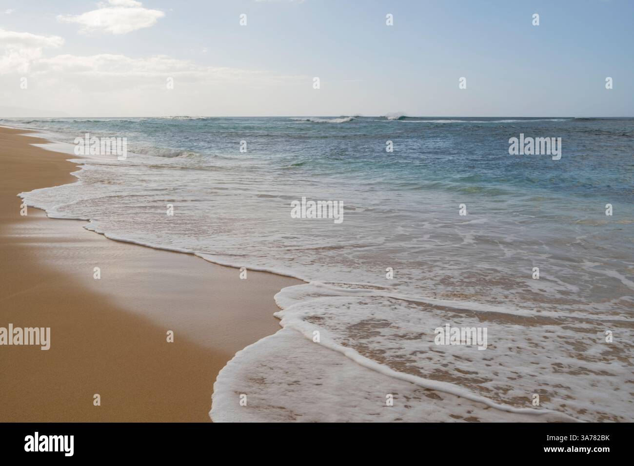 Strand und Surfen entlang der wilden Nordküste von Oahu. Stockfoto