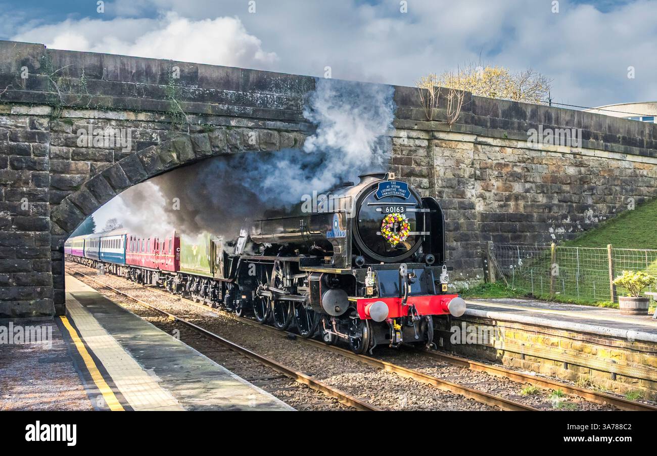 Das Bild zeigt die LNER Peppercorn Class A1 60163 Tornado 4-6-2 Dampflokomotive, die Bentham in North Yorkshire durchquert. Stockfoto