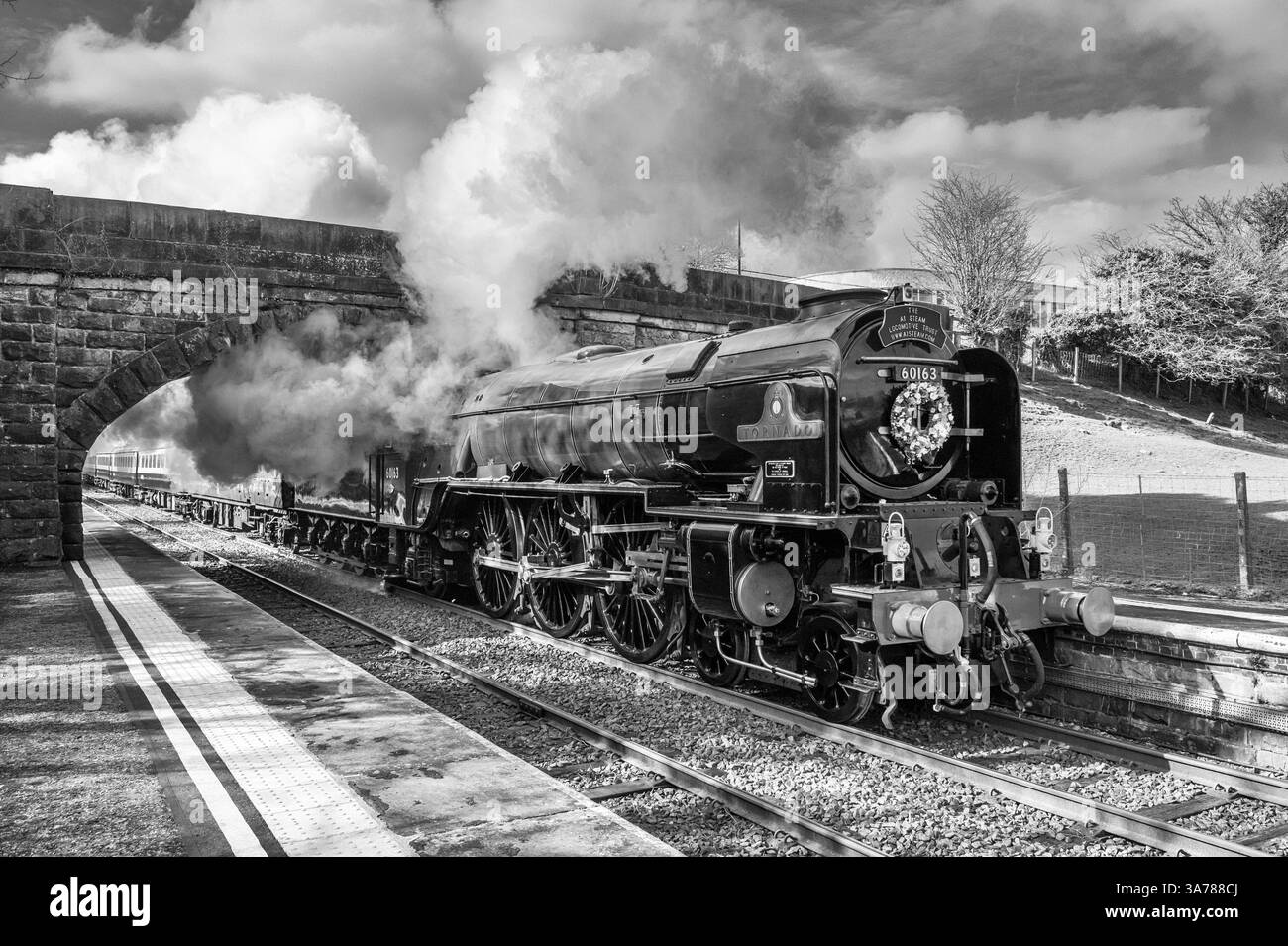Das Bild zeigt die LNER Peppercorn Class A1 60163 Tornado 4-6-2 Dampflokomotive, die Bentham in North Yorkshire durchquert. Stockfoto