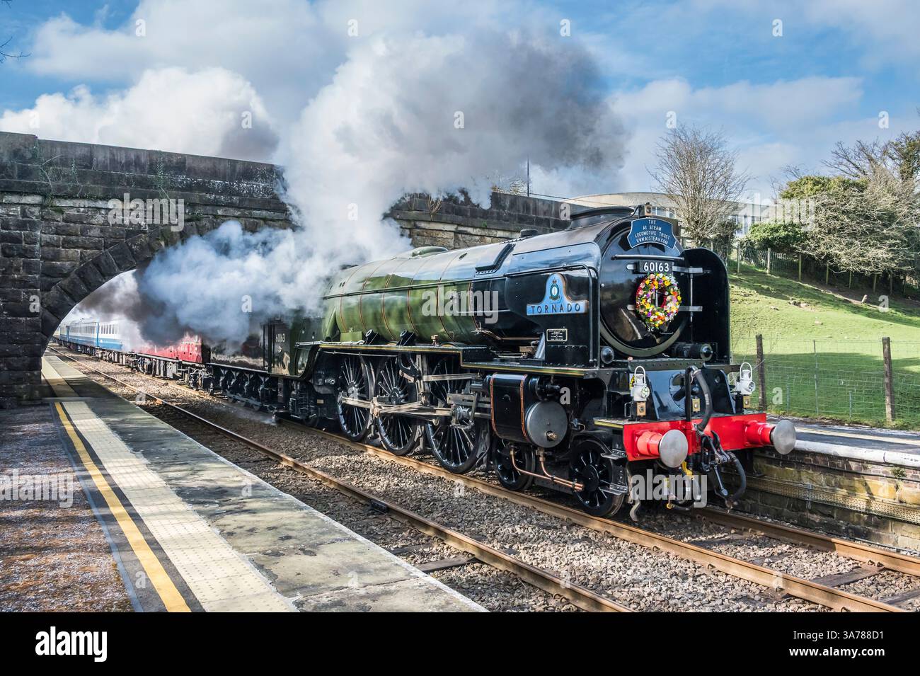 Das Bild zeigt die LNER Peppercorn Class A1 60163 Tornado 4-6-2 Dampflokomotive, die Bentham in North Yorkshire durchquert. Stockfoto
