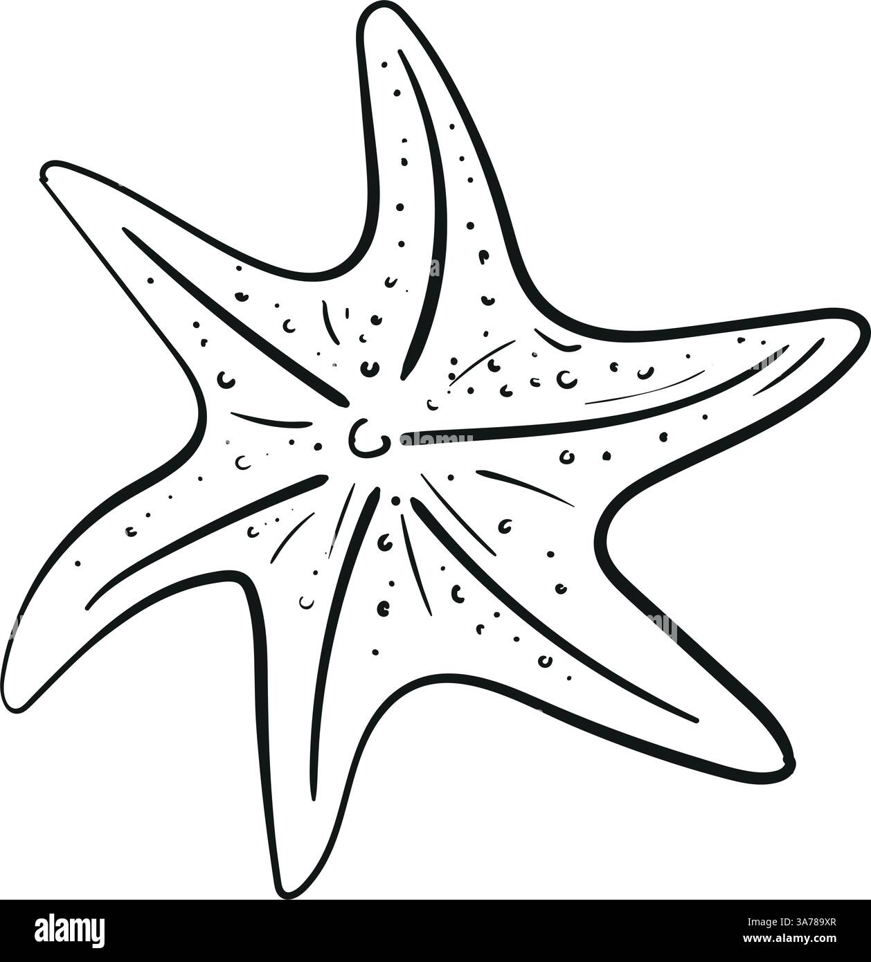 Illustration des Seesterne-Skizzenvektors. Schwarz-weiß-Umrisszeichnung für Seestern für Kinder und Erwachsene. Vektorabbildung. Relax-Seite Stock Vektor