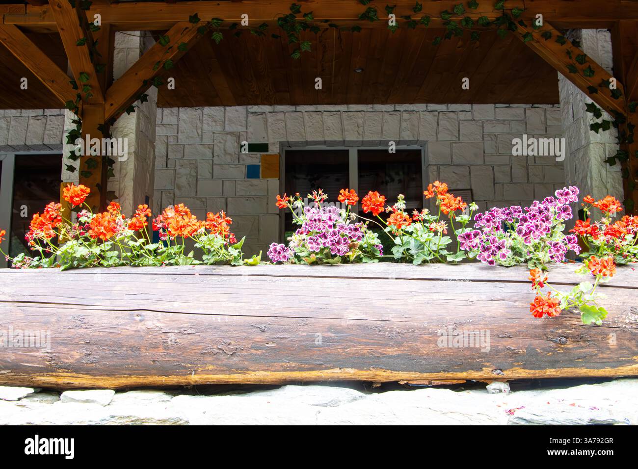 Wunderschöne Blumen auf der Veranda eines Hauses auf dem Land Stockfoto