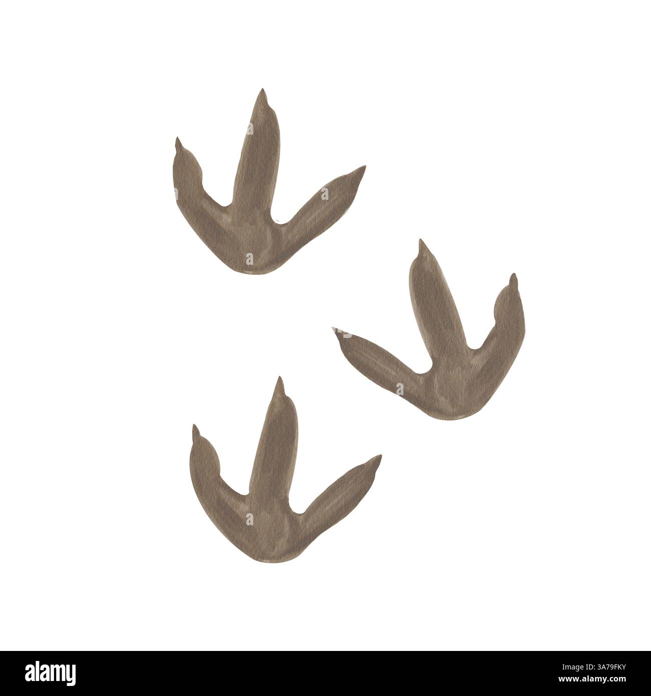 Dinosaurier-Fußabdrücke. Braune Abdrücke von Raubpfoten. Dreifingrige Pfote. Prähistorische Tierspur. Aquarellabbildung. Clipart. Handzeichnung Stockfoto Dinosaurier-Fußabdrücke. Braune Abdrücke von Raubpfoten. Dreifingrige Pfote. Prähistorische Tierspur. Aquarellabbildung. Clipart. Handzeichnung Stockfoto