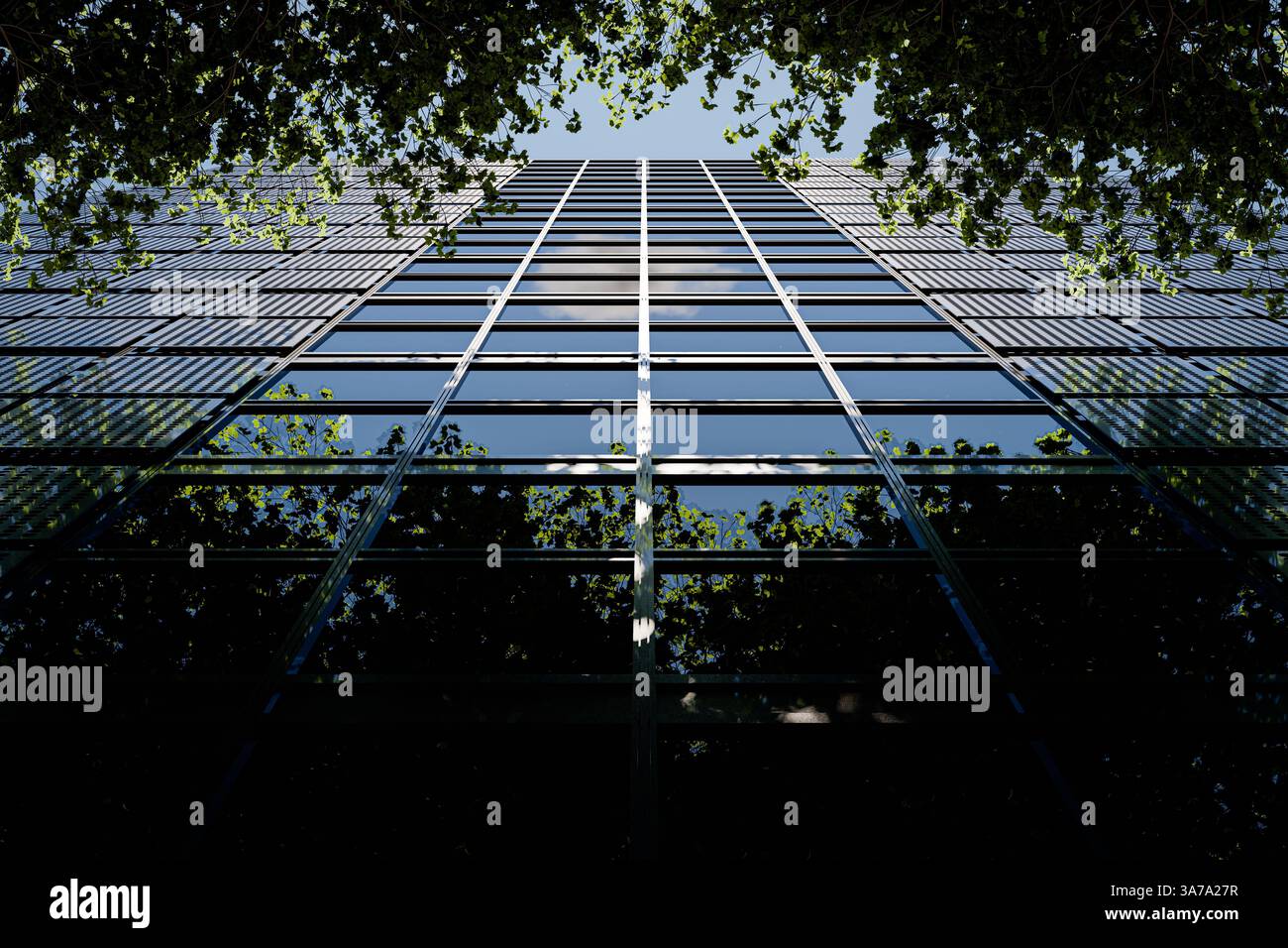 Moderne Glasfassade reflektiert Bäume und Himmel - 3D-Illustration Stockfoto