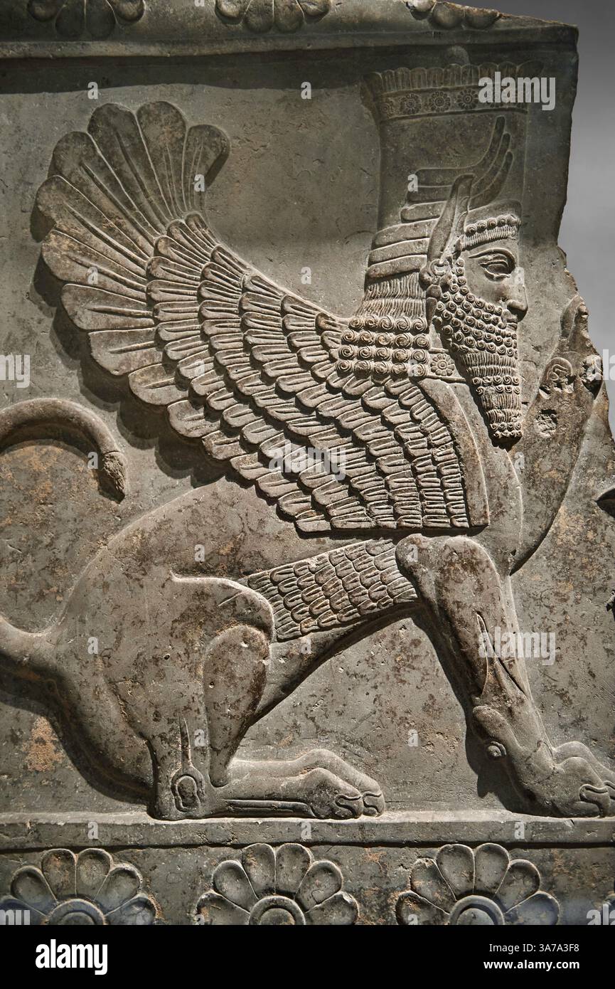 Antike persische Achämeniden Basreliefskulptur mit einer sitzenden bärtigen männlichen Sphinx, 4. Jh. v. Chr., Fassade des Palastes G, erbaut von Artaxerxe Stockfoto