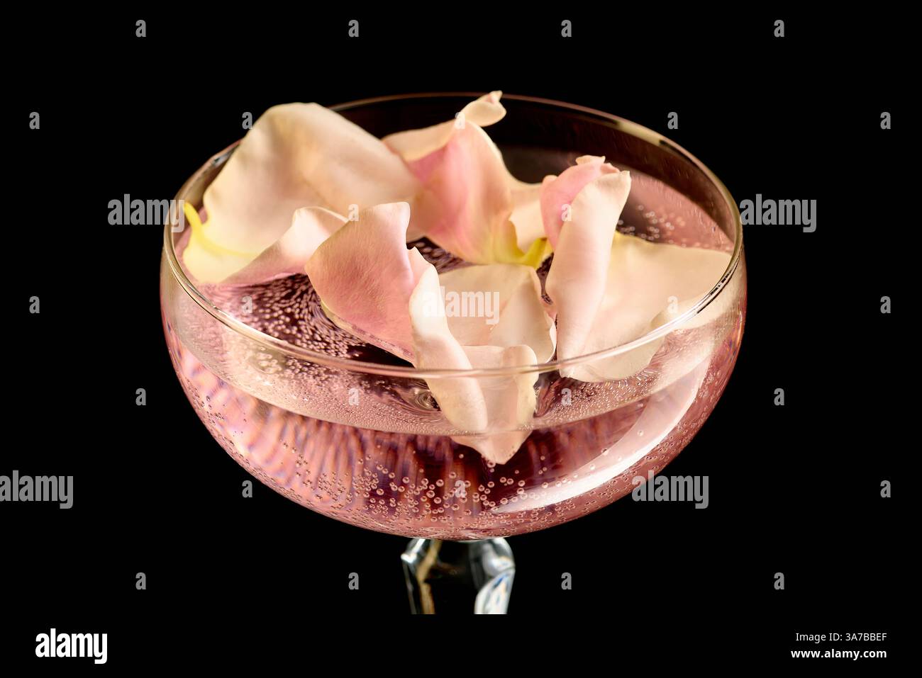 Blumenblütencocktail vor schwarzem Hintergrund. Schicker Cocktail mit Rosengeschmack, zarten rosa Blüten und spritzigem Limonade in elegantem Glas. Stockfoto