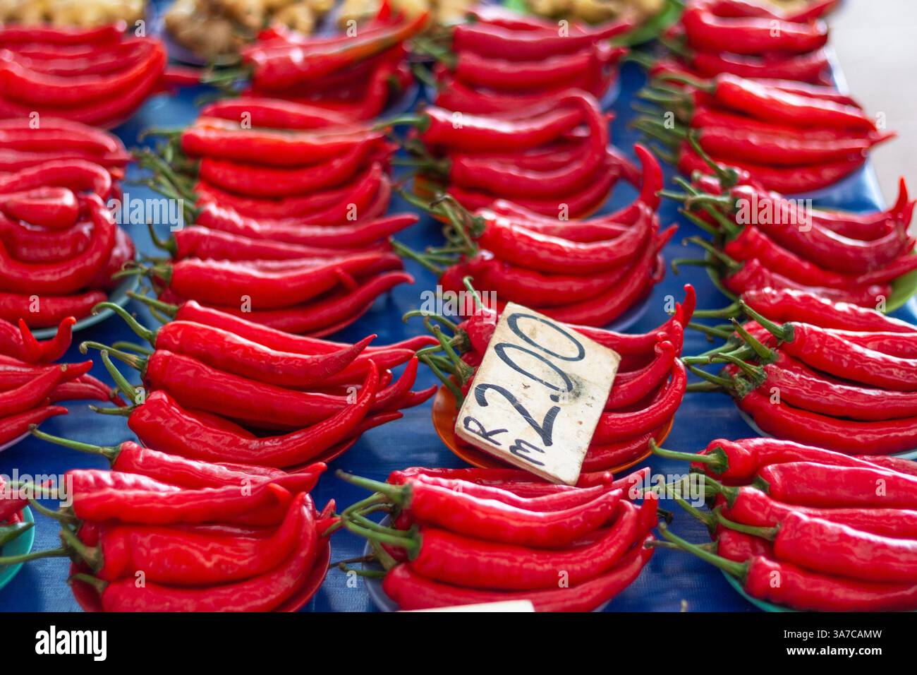 Ein lebhafter Haufen frischer roter Chilischoten, die auf einem geschäftigen Markt in Kuching, Malaysia, zum Verkauf angeboten werden Stockfoto Ein lebhafter Haufen frischer roter Chilischoten, die auf einem geschäftigen Markt in Kuching, Malaysia, zum Verkauf angeboten werden Stockfoto