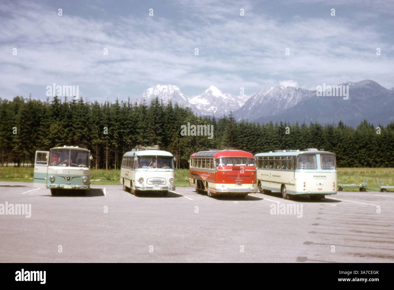 Eine Reihe jugoslawischer Reisebusse parkten vor einer atemberaubenden alpinen Kulisse während einer Sommertour im Juli 1965. Die von Putnik of Beograd (Belgrad) betriebenen Busse ruhen in der Nähe einer malerischen Waldlichtung mit schneebedeckten Gipfeln, die dahinter ragen. Stockfoto