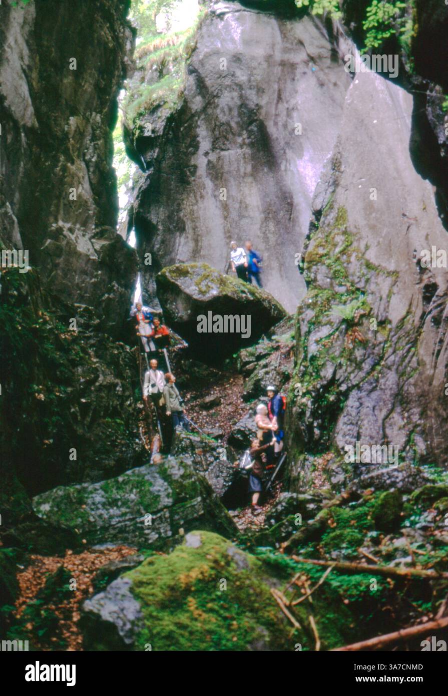 Eine Gruppe abenteuerlustiger Wanderer navigiert vorsichtig auf dem felsigen Pfad durch die dramatische Giffre-Schlucht in der Nähe von Sixt-Fer-à-Cheval, Frankreich. Stockfoto