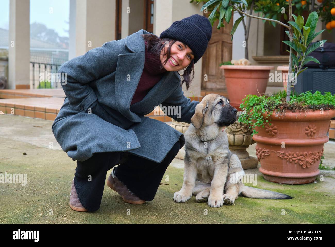 Glückliche Frau, die ihren spanischen Mastiff-Welpen in einem Garten mit Topfpflanzen kuschelt Stockfoto