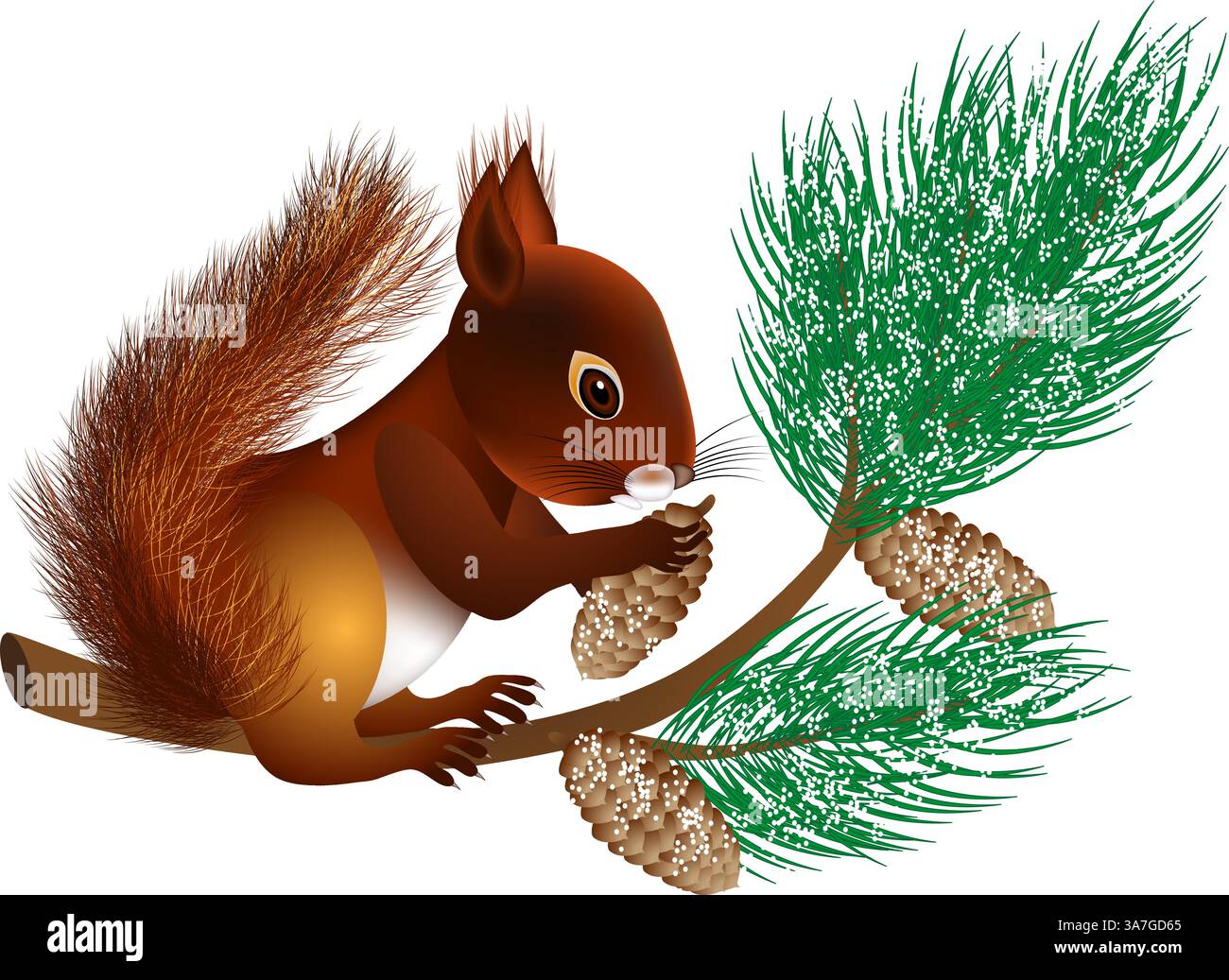 Eichhörnchen auf einem Kiefernzweig mit Kegeln im Winter. Stock Vektor