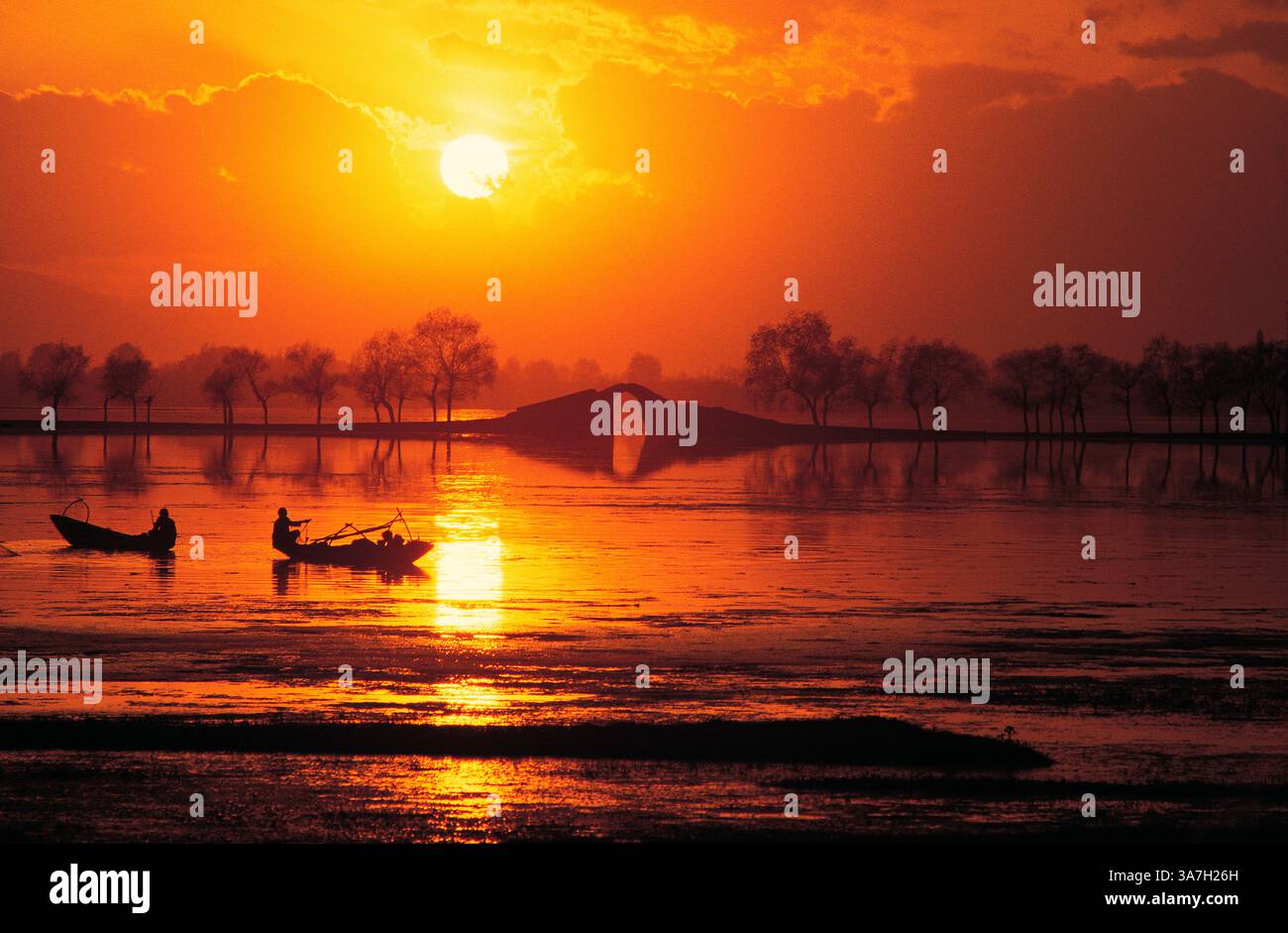 Indien. Jammu Und Kaschmir. Srinagar. Dal Lake und Fußgängerbrücke mit Booten bei Sonnenuntergang. Stockfoto