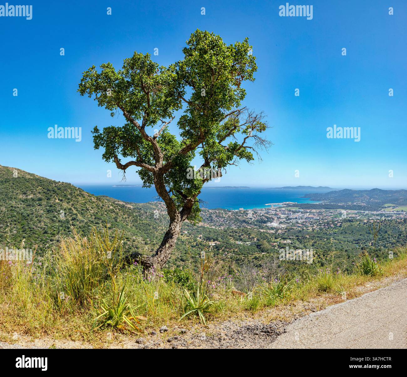 Blick von der Route des Crètes in Richtung Lavandou, die Küste und die Inseln Port Cros und Île du Levant, Le Lavandou, Frankreich, Landschaft, Wasser, t Stockfoto