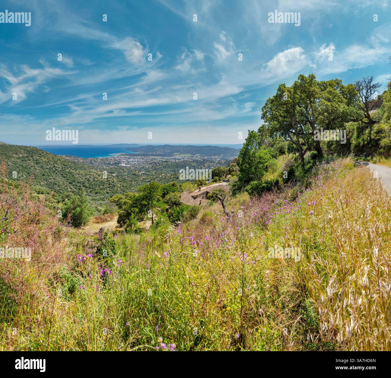 Blick von der Route des Crètes in Richtung Lavandou, die Küste und die Inseln Port Cros und Île du Levant, Le Lavandou, Frankreich, Landschaft, Feld, m Stockfoto