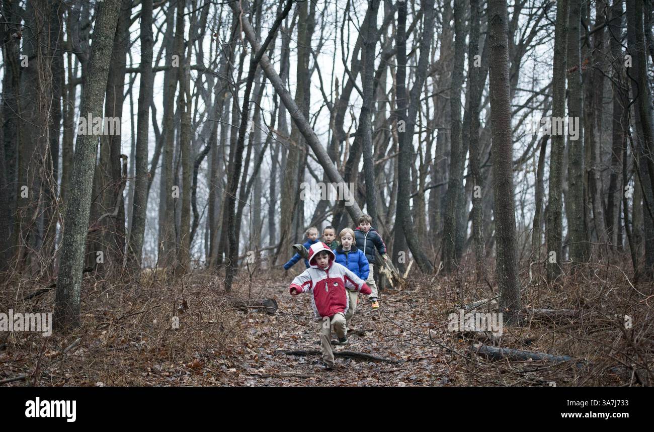 16. Januar 2013 - Phialdelphia, PA, USA - Kinder im After-School-Programm des Schuylkill Nature Center laufen durch die Wälder im Zentrum des Stadtteils Roxborough in Philadelphia, Pennsylvania, 16. Januar 2013. (Kreditbild: © Ron Tarver/MCT/ZUMAPRESS.com) Stockfoto