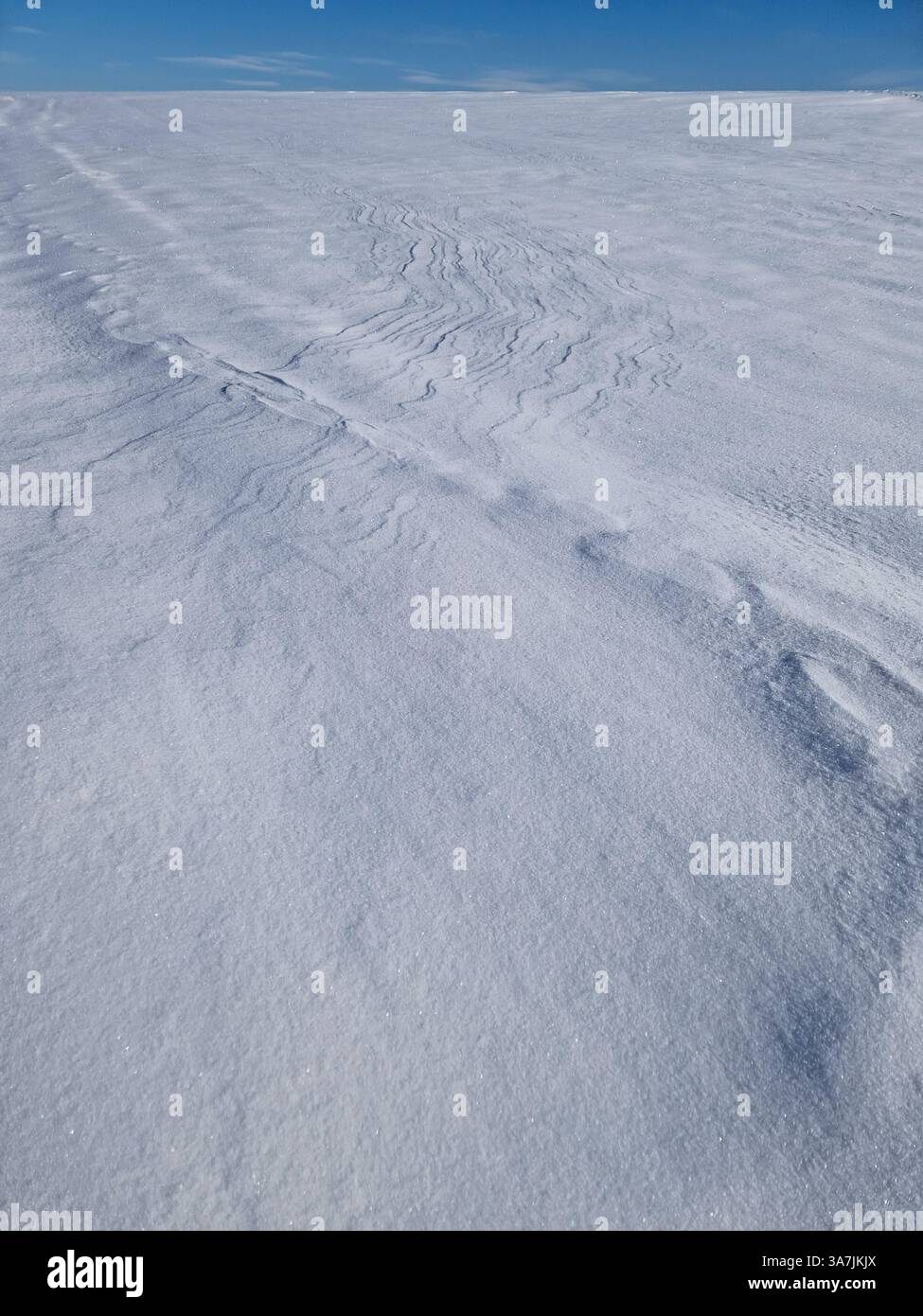Winterszene mit Schneeschwankungen auf dem leeren Land unter dem blauen Himmel - Smartphone-aufgenommenes Stockfoto
