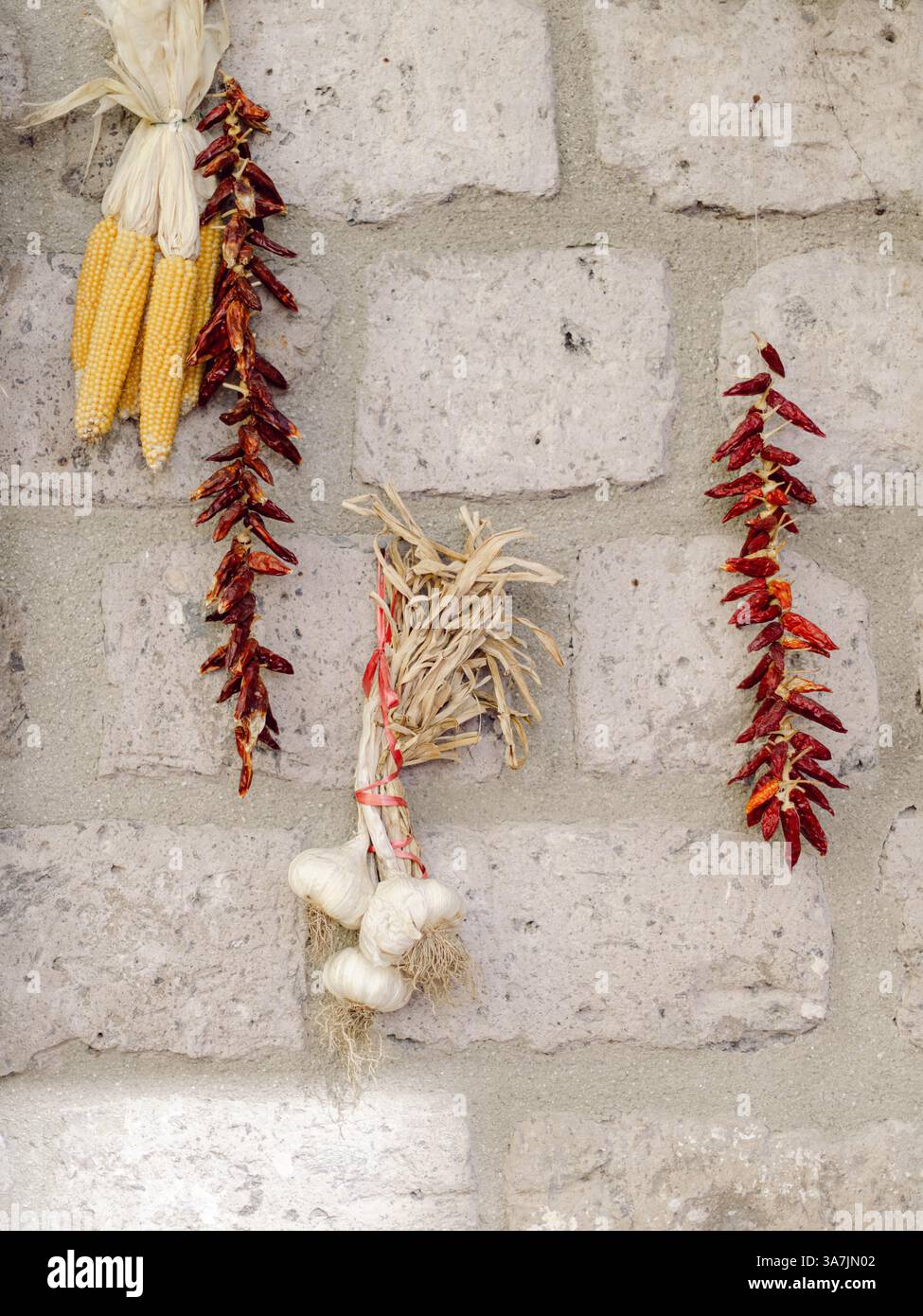 Getrockneter Knoblauch, Pfeffer-Chili und Maiskolben an einer Wand in Italien Sorrent Stockfoto
