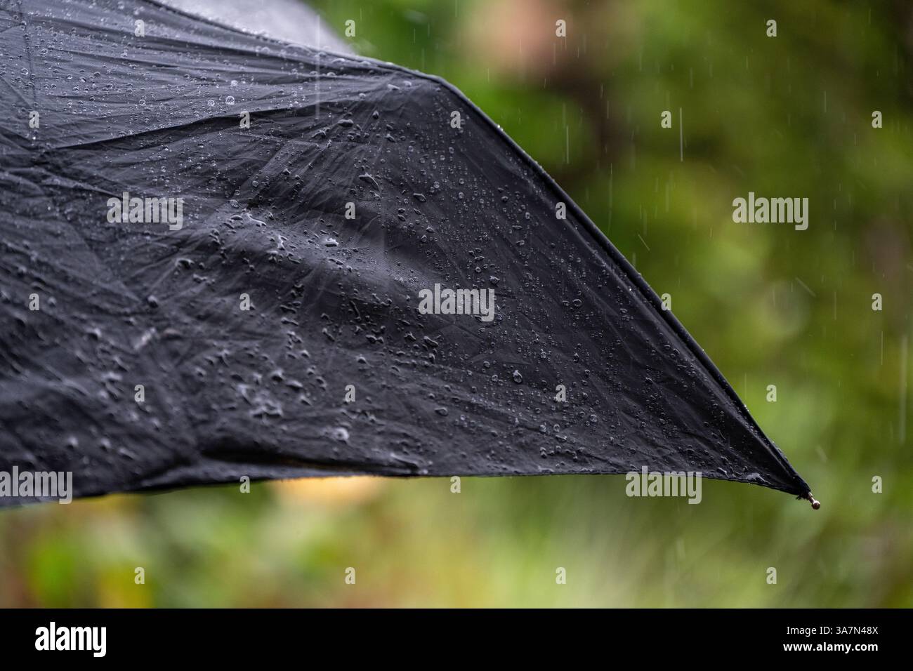 Nahaufnahme eines schwarzen Regenschirms in einer Regendusche mit fallenden Regentropfen und einem unscharfen Hintergrund Stockfoto