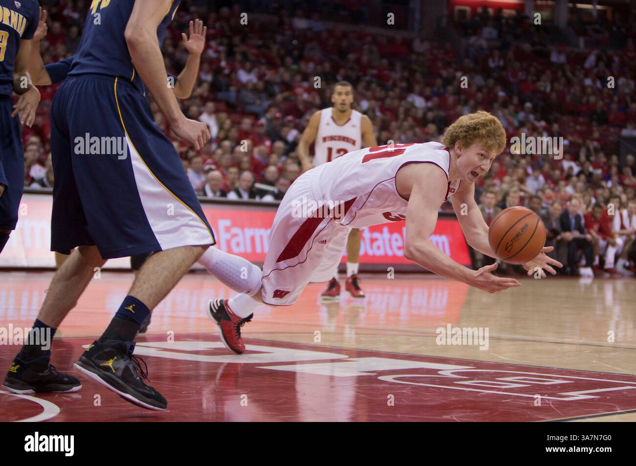 2. Dezember 2012: Madison, Wisconsin, USA - der Stürmer MIKE BRUESEWITZ aus Wisconsin greift auf den Basketball, nachdem er gestolpert wurde, während er über die Spur dribbelt. Die Wisconsin Badgers besiegten die California Golden Bears 81-56 im Kohl Center. (Bild: © John Fisher/Cal Sport Media/ZUMAPRESS.com) Stockfoto