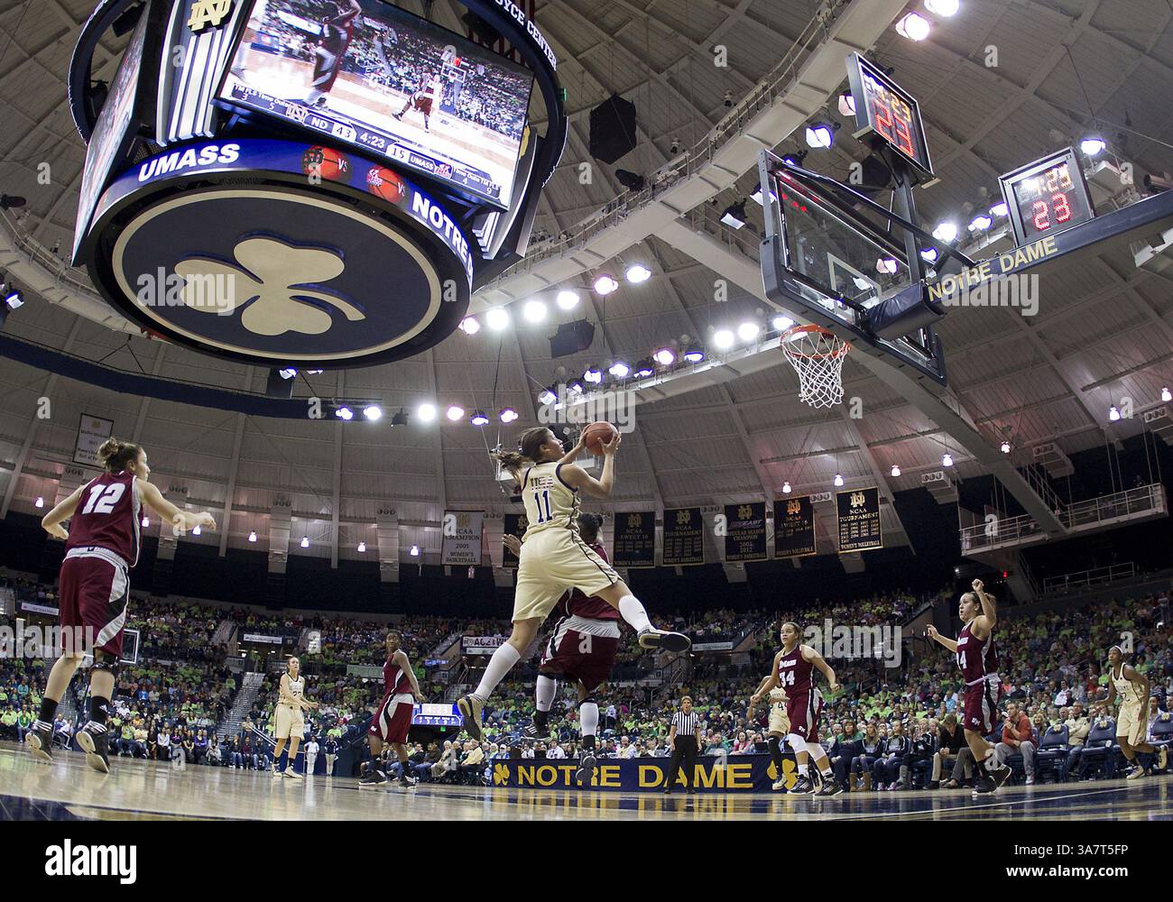 18. November 2012 - South Bend, Indiana, USA - Notre Dame Stürmer NATALIE ACHONWA (11) fährt während des NCAA Women's Basketball-Spiels zwischen den Notre Dame Fighting Irish und den Massachusetts Minutewomen im Purcell Pavilion im Joyce Center zum Korb. (Bild: © John Mersits/Cal Sport Media/ZUMAPRESS.com) Stockfoto