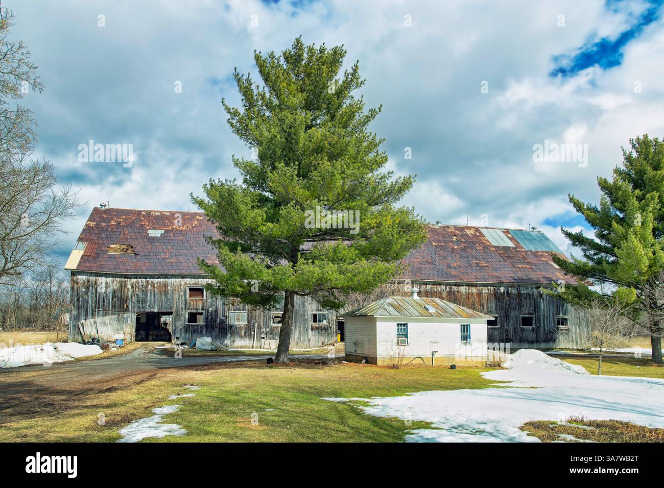 Alte Milchscheune Stockfoto