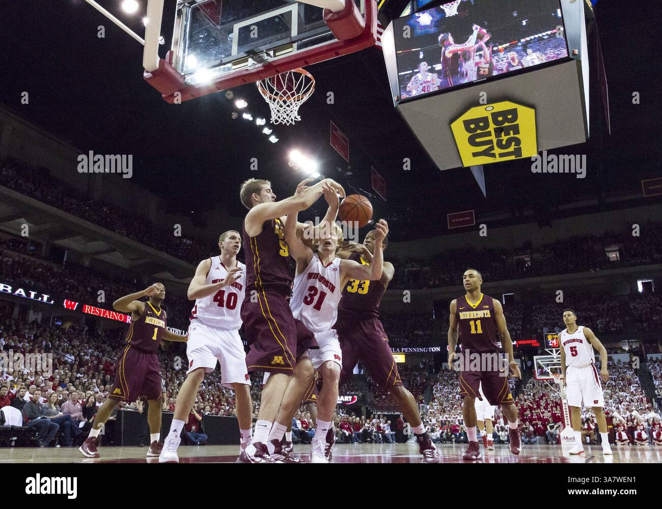 26. Januar 2013: Madison, Wisconsin, USA S - MIKE BRUESEWITZ (31) von den Wisconsin Badgers kämpft mit ELLIOTT ELIASON von den Minnesota Golden Gophers um einen losen Ball während eines NCAA-Basketballspiels im Kohl Center. (Kreditbild: © TriplePlayNewMedia/ZUMAPRESS.com) Stockfoto