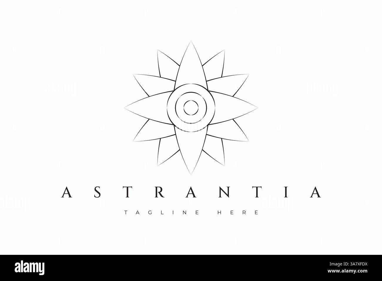 Astrantia Flower Logo Floral Sacred Geometry Business Fashion Parfüm Bouquet Markenidentität Stock Vektor