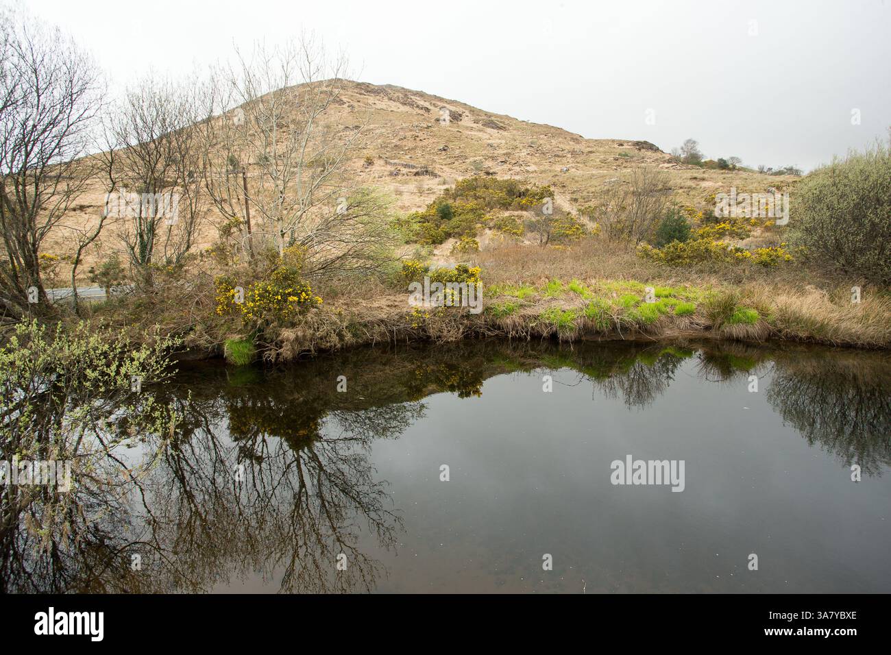 Fluss Bundoragha Stockfoto