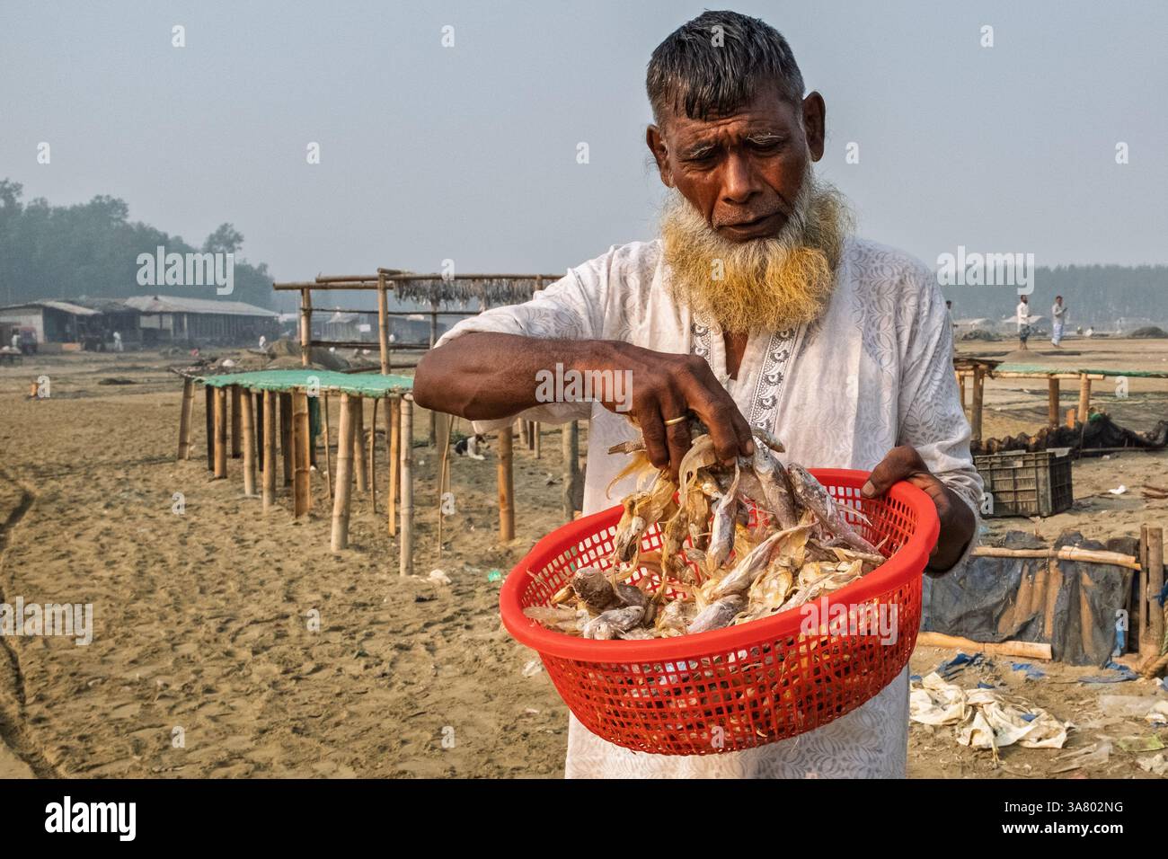 Mann, der Trockenfisch kontrolliert, Cox's Bazar, Bangladesch Stockfoto
