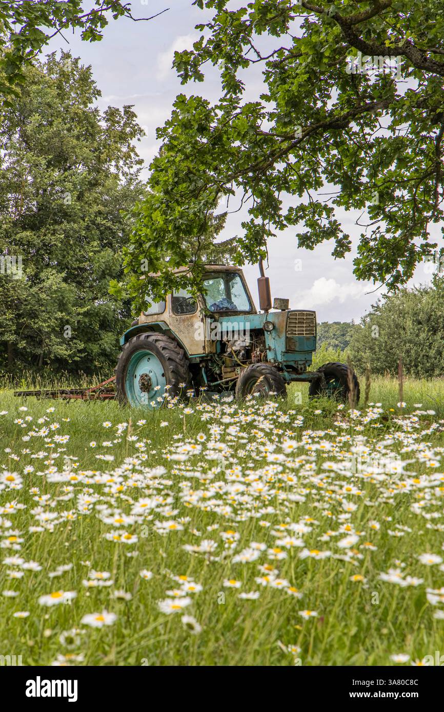 Der Alte Rusty Hat Den Traktor Kaputt Gemacht. Stockfoto