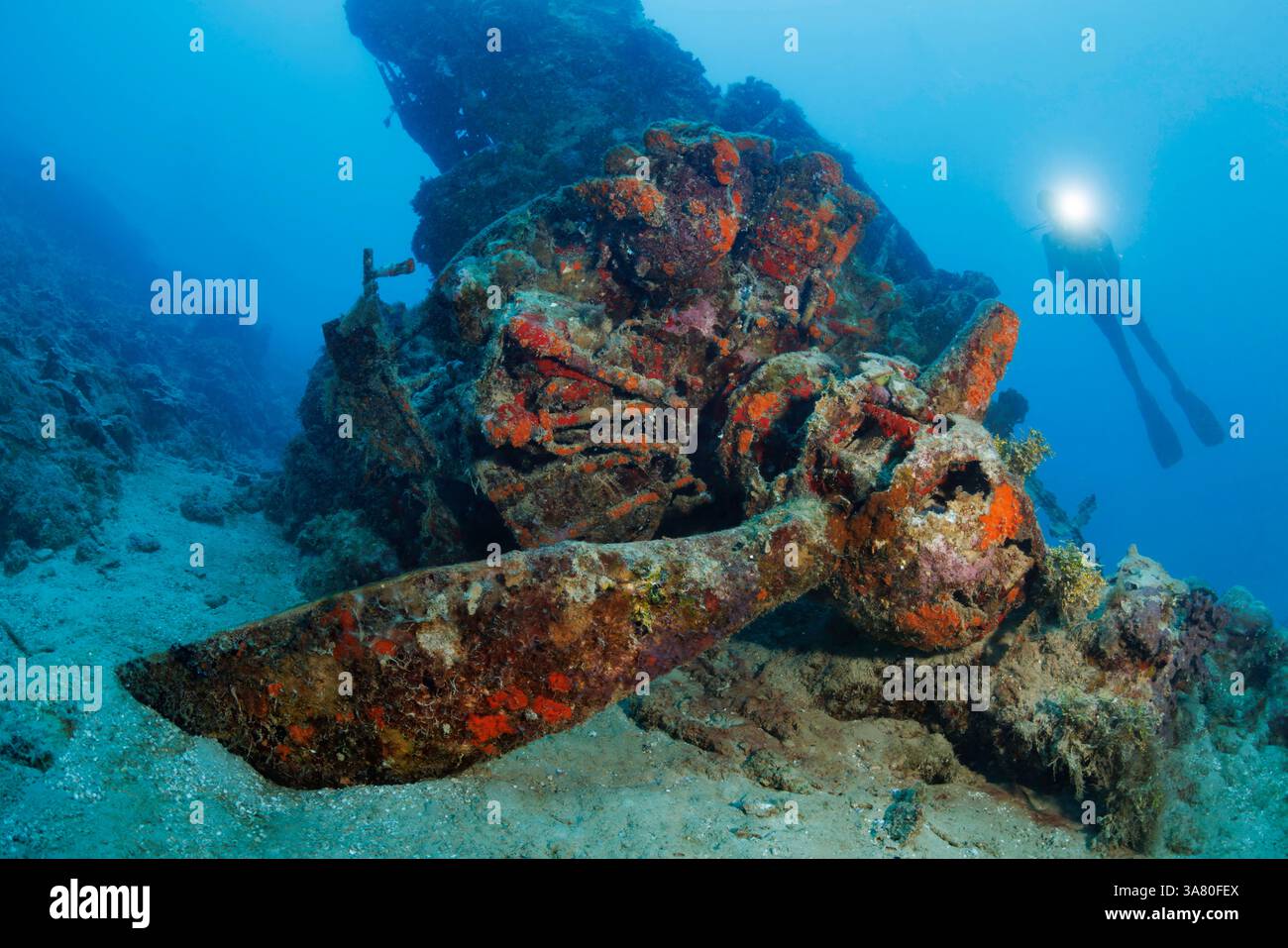 Das Val Bomber Plane Wrack befindet sich am Fuße des APRA Harbor, Guam, Mikronesien, Marianen Inseln und Philippinische See. Val war die alliierte Bezeichnung für Th Stockfoto