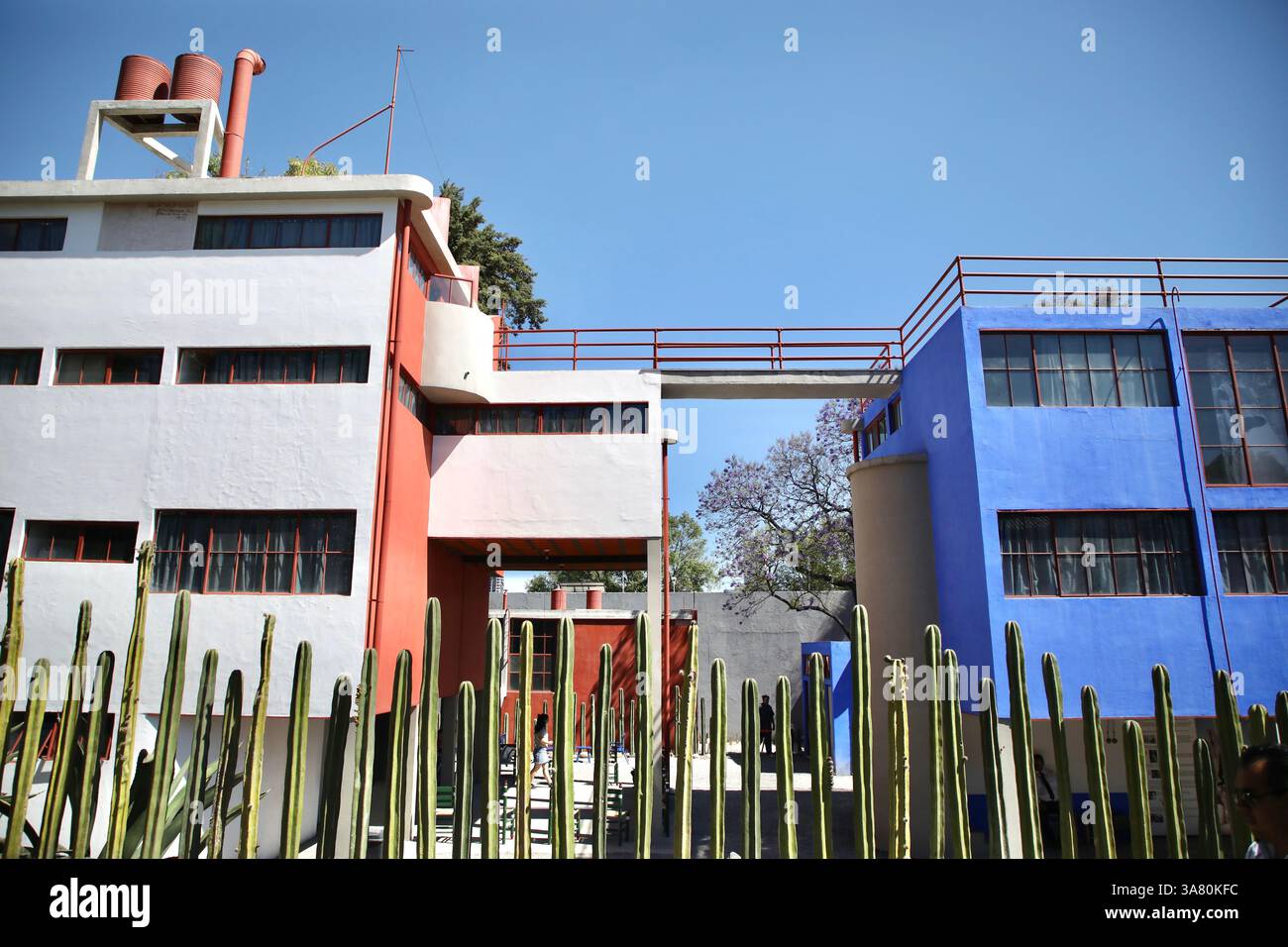 Mexiko, Mexiko. März 2025. Diego Riveras Haus (links) und Frida Kahlos Haus-Studio Museum (rechts) sind durch eine Fußgängerbrücke miteinander verbunden. Das Diego Rivera and Frida Kahlo House-Studio Museum ist ein 3-stöckiges Haus-Studio-Museum in San Ã ngel, Mexiko-Stadt, entworfen von dem Architekten Juan O’Gorman, einem Freund von Diego Rivera, und wurde 1932 fertiggestellt. Es ist eines der ersten „funktionalistischen“ Gebäude in Lateinamerika. (Credit Image: © Apolline Guillerot-Malick/SOPA Images via ZUMA Press Wire) NUR REDAKTIONELLE VERWENDUNG! Nicht für kommerzielle ZWECKE! Stockfoto