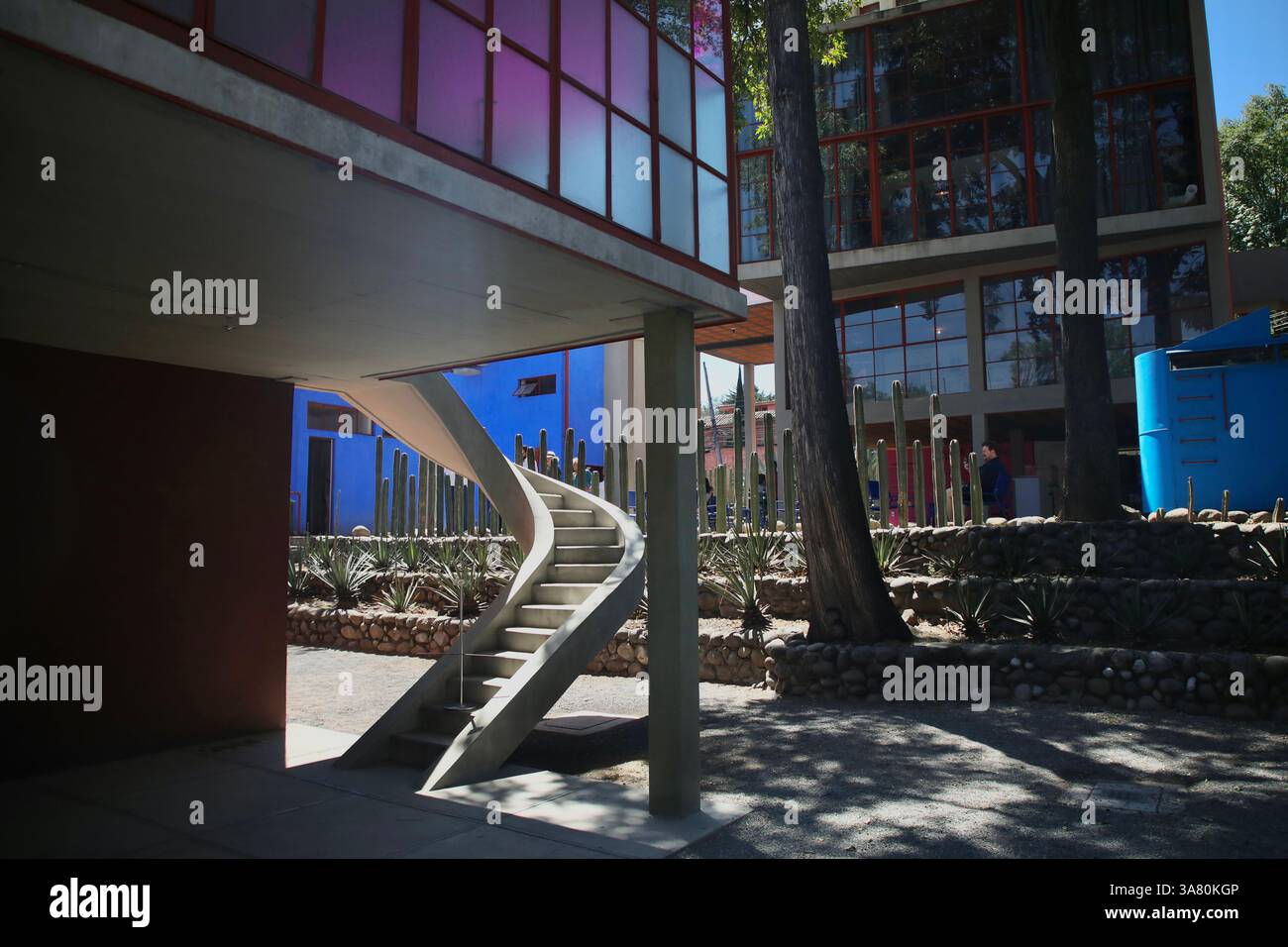Mexiko, Mexiko. März 2025. Treppen vor dem casa O'Gorman in Diego Rivera und Frida Kahlo House-Studio Museum. Das Diego Rivera and Frida Kahlo House-Studio Museum ist ein 3-stöckiges Haus-Studio-Museum in San Ã ngel, Mexiko-Stadt, entworfen von dem Architekten Juan O’Gorman, einem Freund von Diego Rivera, und wurde 1932 fertiggestellt. Es ist eines der ersten „funktionalistischen“ Gebäude in Lateinamerika. (Credit Image: © Apolline Guillerot-Malick/SOPA Images via ZUMA Press Wire) NUR REDAKTIONELLE VERWENDUNG! Nicht für kommerzielle ZWECKE! Stockfoto