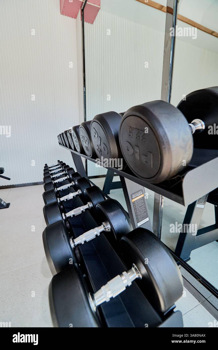 Organisierte Kurzhanteln im modernen Fitnessstudio Stockfoto