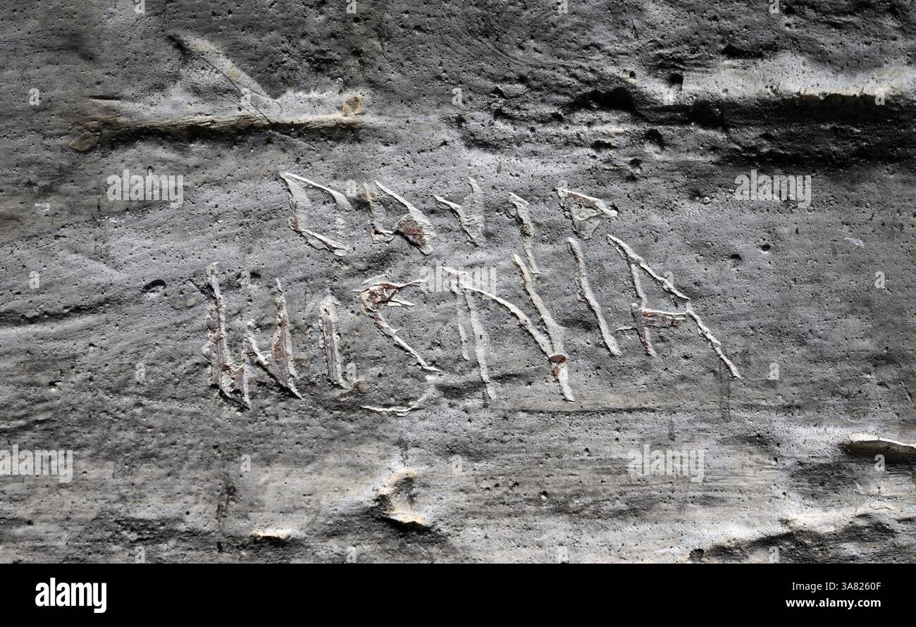 David Wisnia kratzte seinen Namen vor über 80 Jahren im ehemaligen Konzentrationslager Auschwitz-Birkenau bei Oswiecim, Polen, am Donnerstag, den 27. März 2025 an der Wand seiner Schlafliege in Kaserne 15. Wisnia überlebte über zwei Jahre im Camp, wie in der PBS-Dokumentation How Saba Keep Singing dargestellt. Die Auschwitz Memorial and Museum Foundation würdigt das 80. Jahr seit der Befreiung durch die Sowjetarmee im Jahr 1945. Insgesamt wurden im Zweiten Weltkrieg rund 1,1 Millionen Juden, Polen, Roma und andere ethnische Gruppen im Lager ausgelöscht. Foto: Joe Marino/UPI. Stockfoto