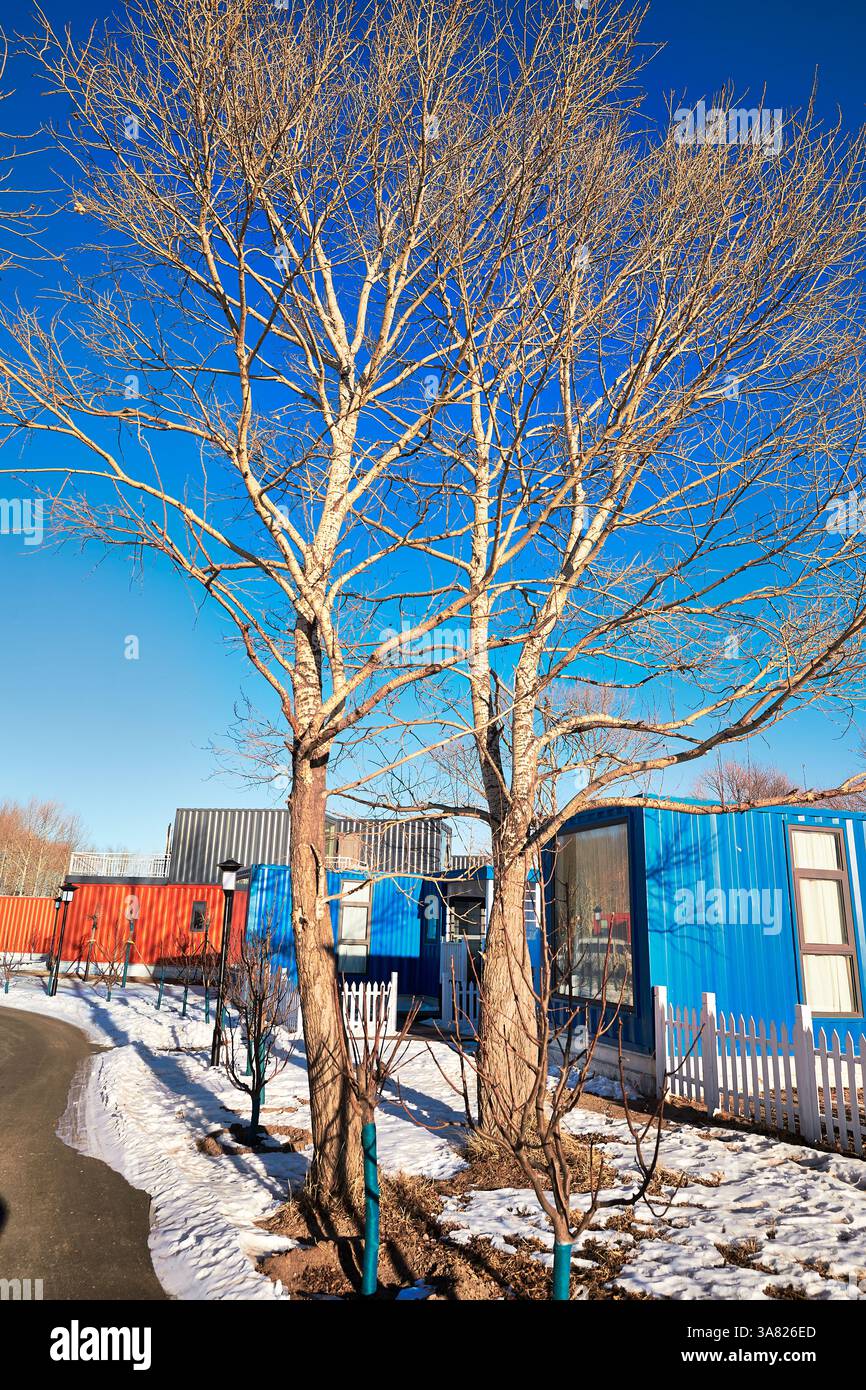 Modernes Containergebäude in schneebedeckter Umgebung Stockfoto