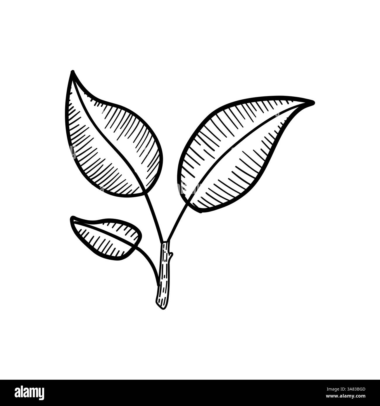 Detaillierte botanische Zweige-Illustration mit auffälligen Blättern für Öko-Designs, grünes Branding, organische Grafiken oder pflanzliche Wellness-Themen Stock Vektor